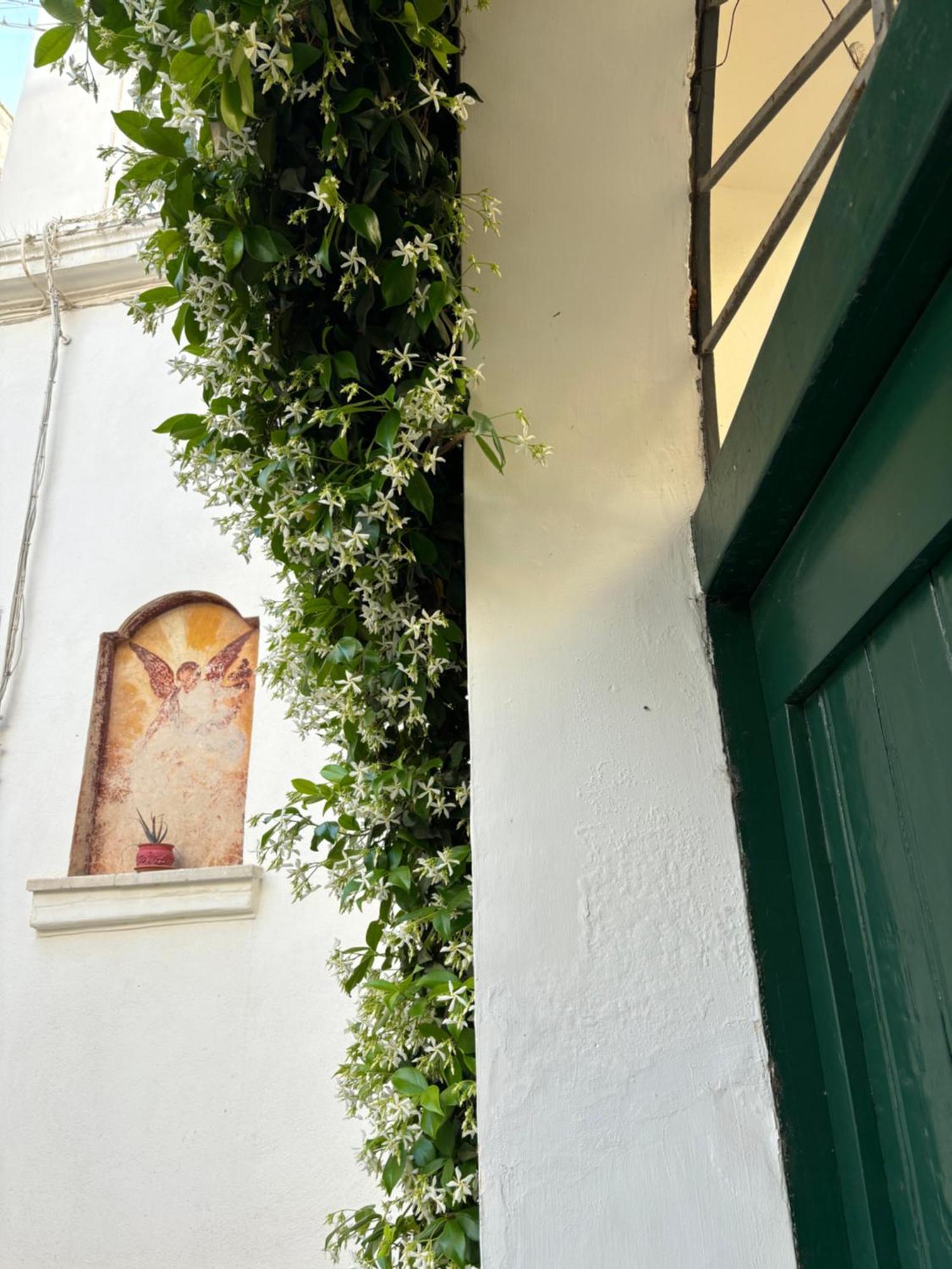 Nardò B&B Antica Dimora Dell'Angelo מראה חיצוני תמונה